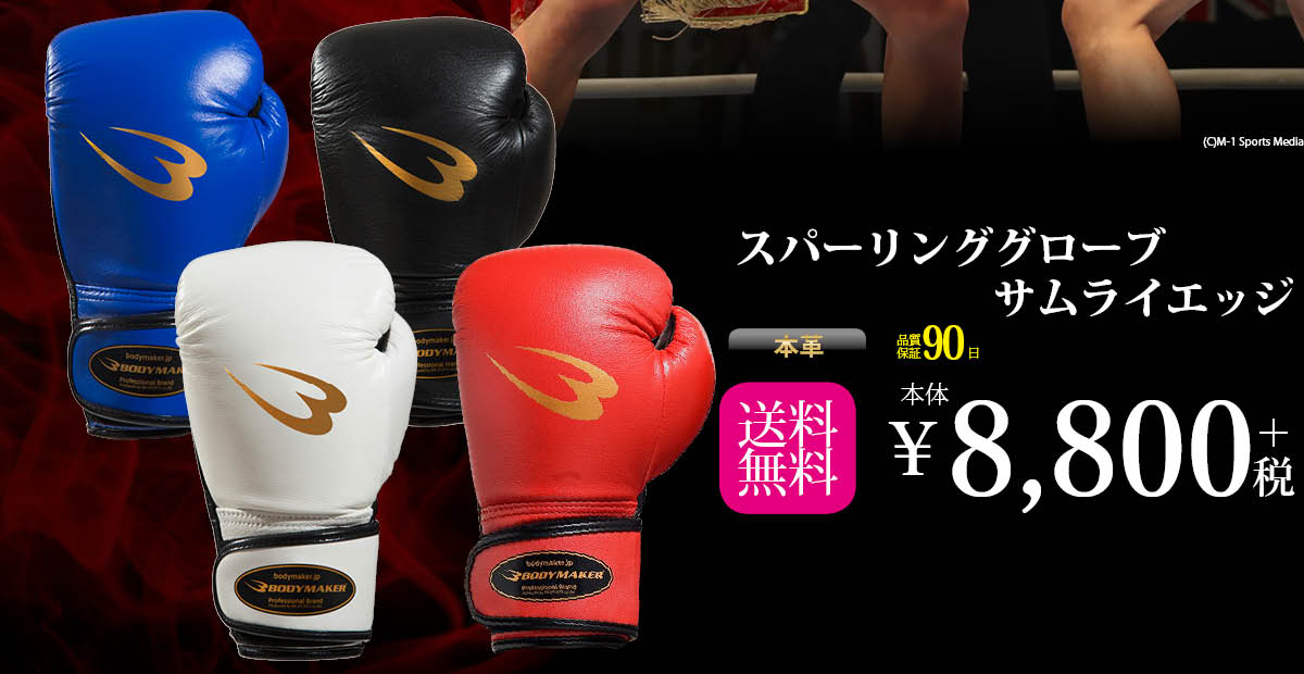 K-1WORLD GP 2017 JAPAN & Krush 参戦特集